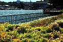 Lago di Como_082